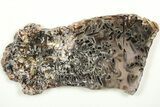 Polished Turkish Stick Agate Slab - Turkey #207954-1